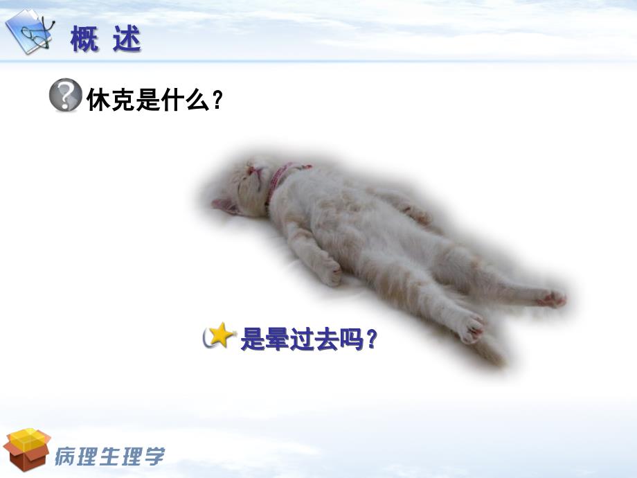 休克的急救与措施PPT课件.ppt_第3页