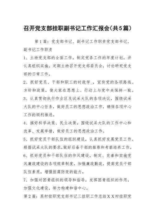 召开党支部挂职副书记工作汇报会共5篇.docx