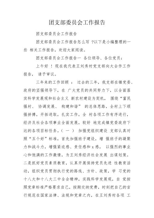 团支部委员会工作报告.doc