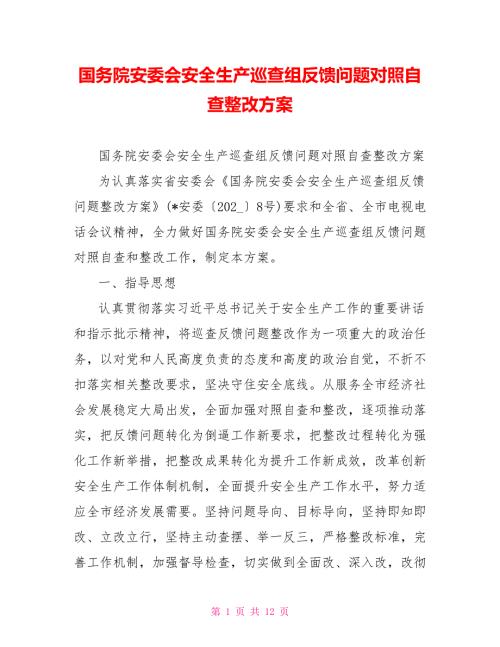 国务院安委会安全生产巡查组反馈问题对照自查整改方案.doc