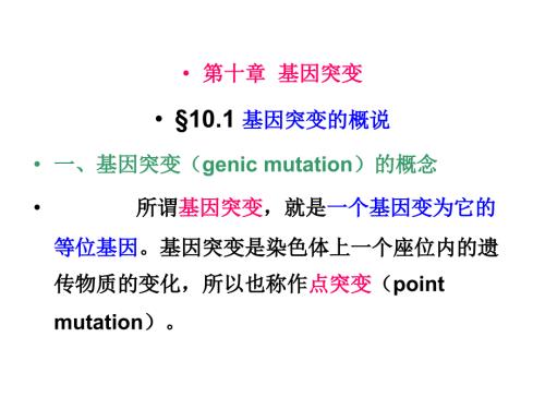 基因突变PPT课件.ppt