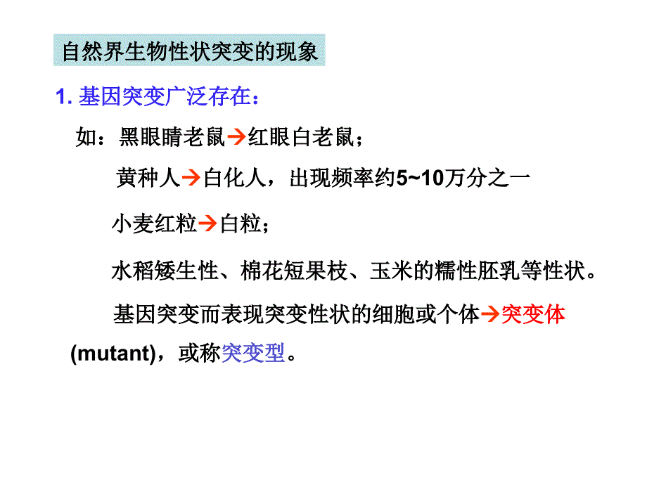 基因突变PPT课件.ppt_第3页