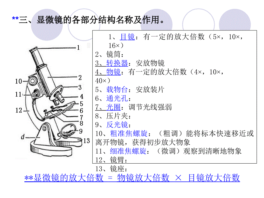冀教版生物七上一二章复习课件.ppt_第2页