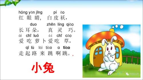 口语交际小兔运南瓜ppt课件.pptx