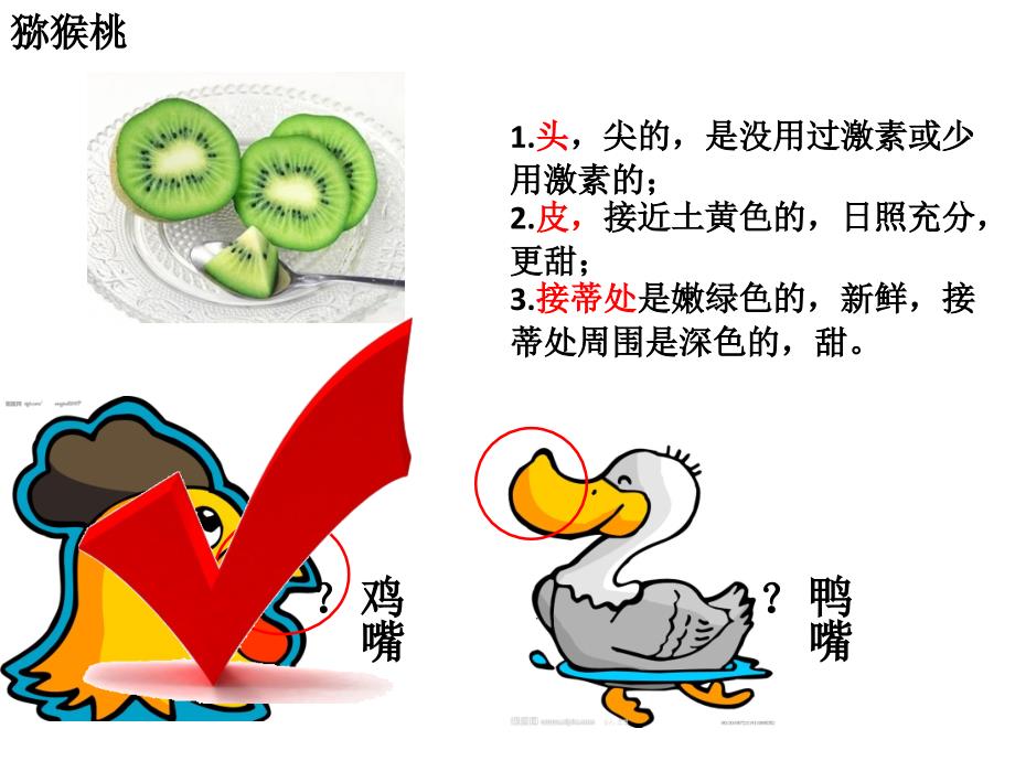 吃货挑水果PPT课件.ppt_第2页
