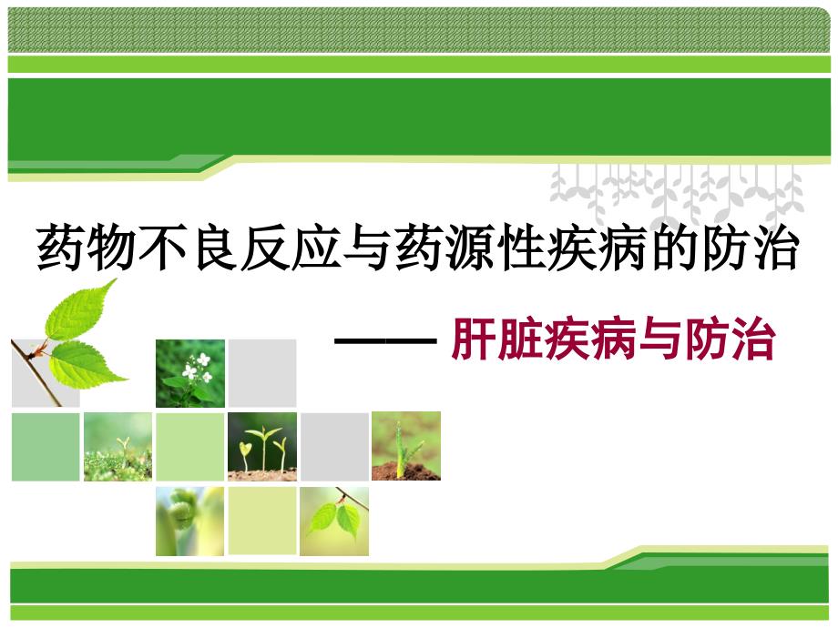 不良反应与肝损伤ppt演示课件.ppt_第1页