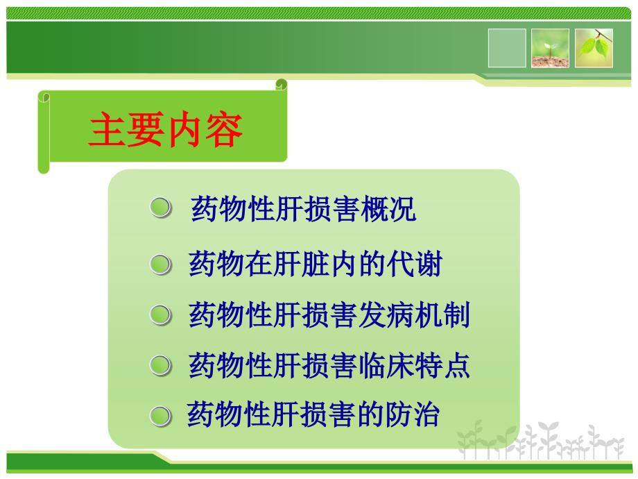 不良反应与肝损伤ppt演示课件.ppt_第2页