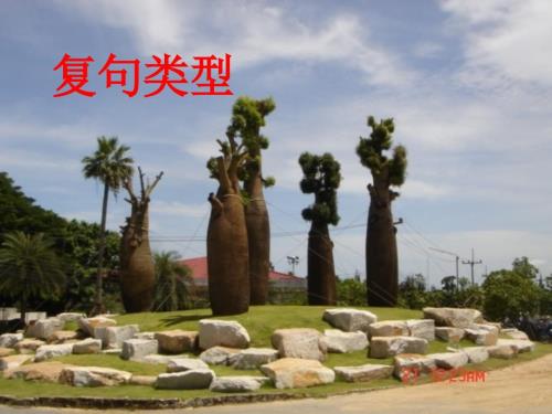 复句类型课件.ppt