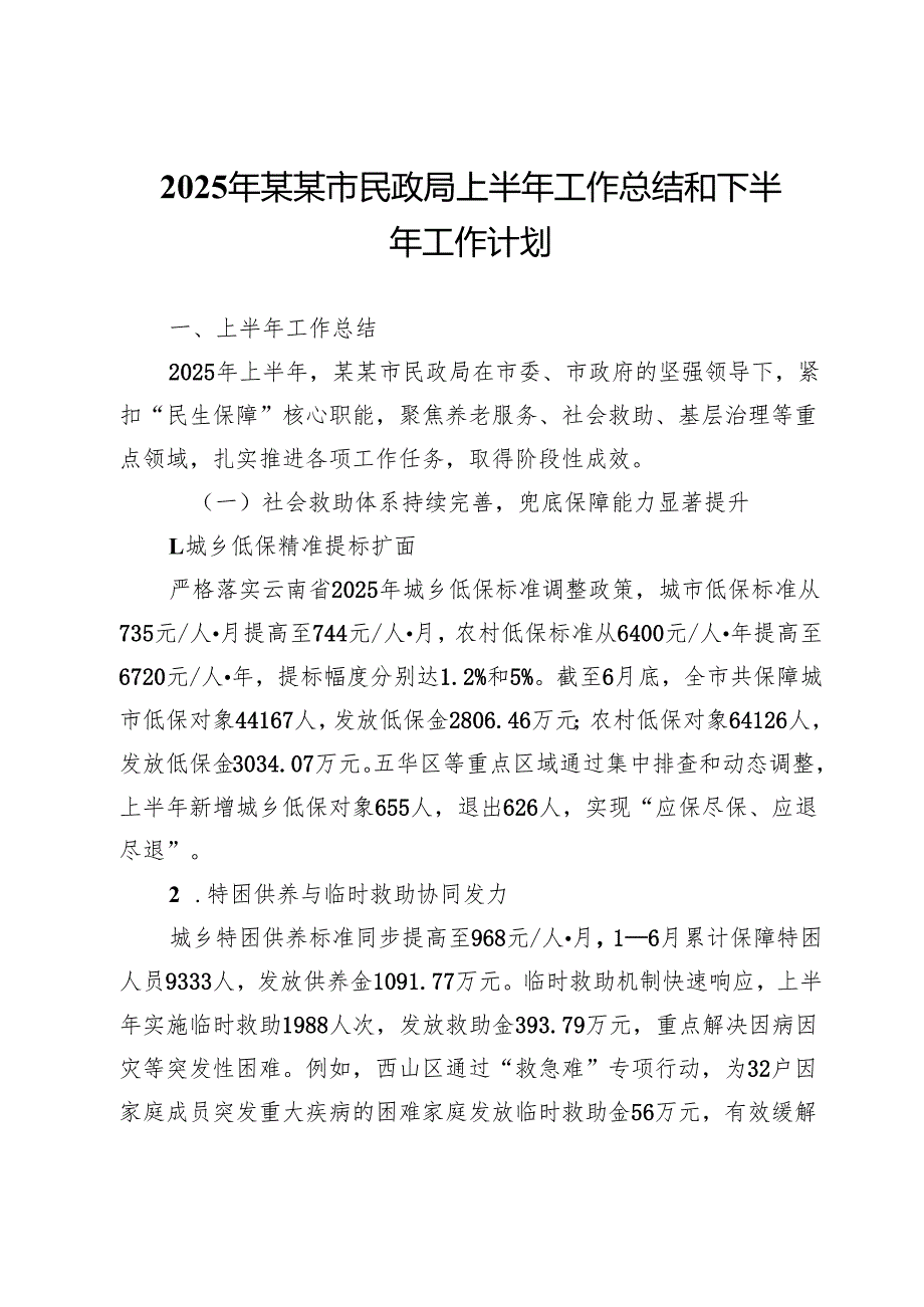 2025年某某市民政局上半年工作总结和下半年工作计划.docx_第1页