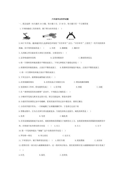 六年级下册科学试题六年级毕业科学试题教科版含答案.doc