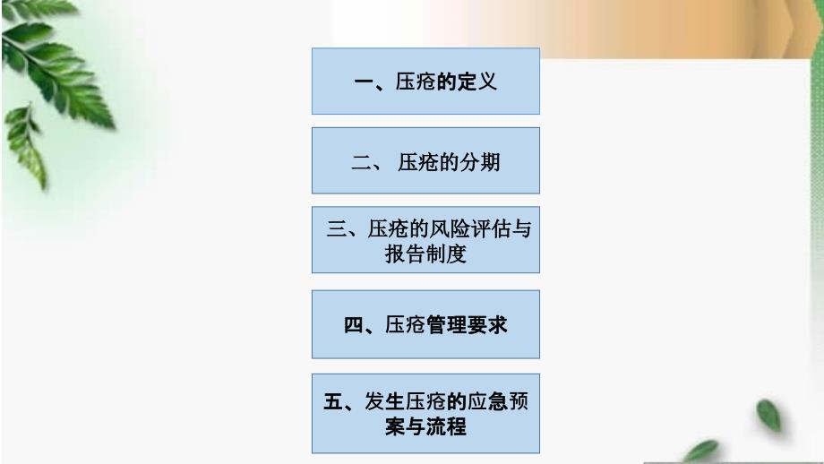 压疮的应急预案及流程.pptx_第2页