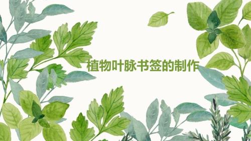 叶脉书签制作课件.ppt