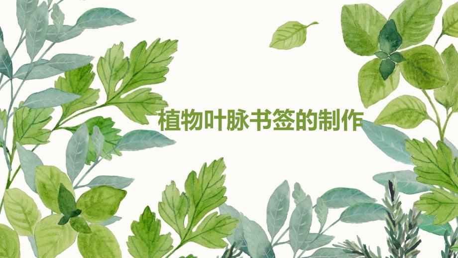 叶脉书签制作课件.ppt_第1页