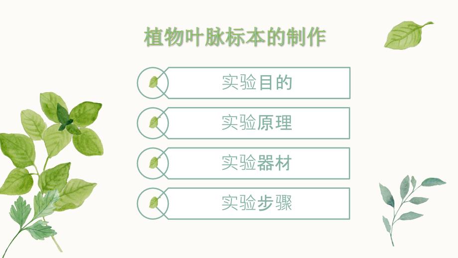 叶脉书签制作课件.ppt_第2页