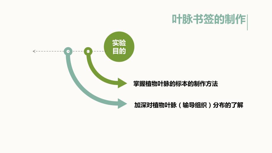 叶脉书签制作课件.ppt_第3页