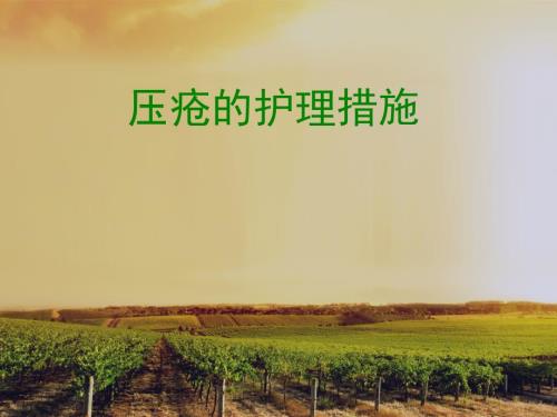 压疮的护理措施PPT课件.pptx