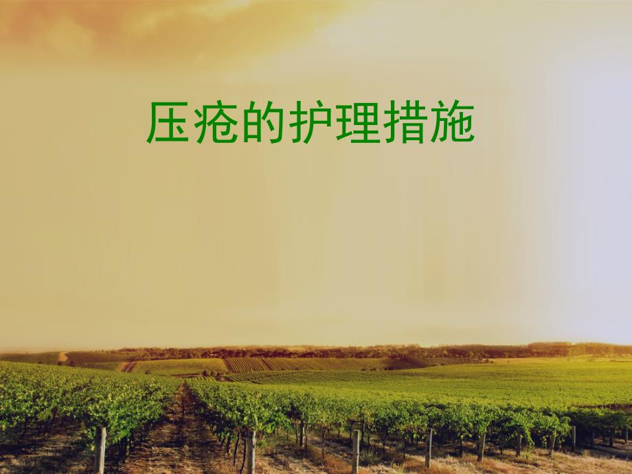 压疮的护理措施PPT课件.pptx_第1页