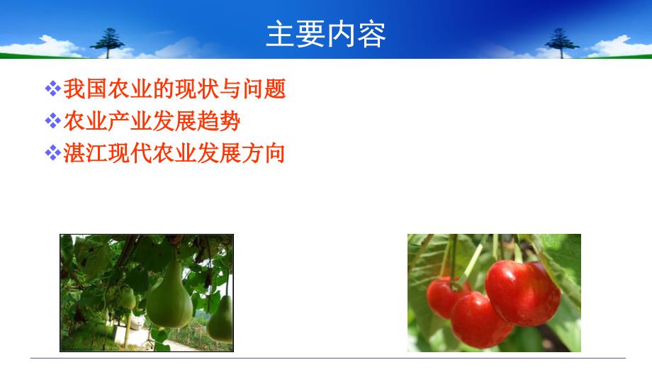 中国现代农业发展现状与趋势分析.ppt_第2页