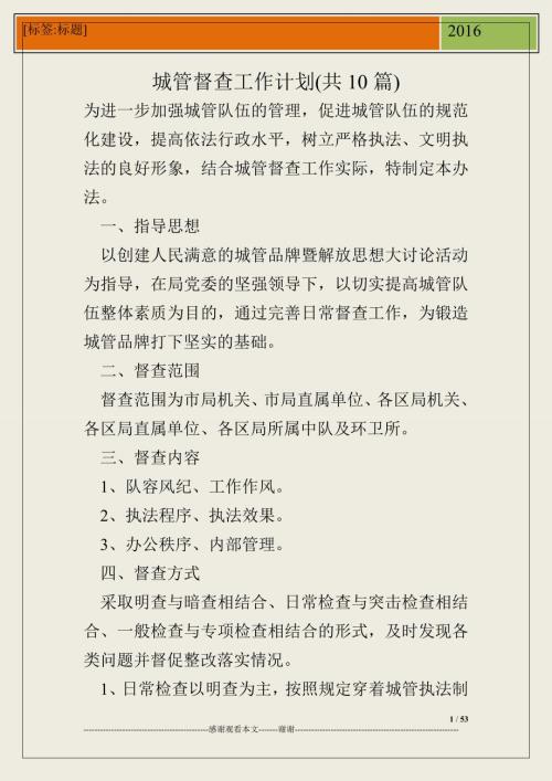 城管督查工作计划共10篇.doc