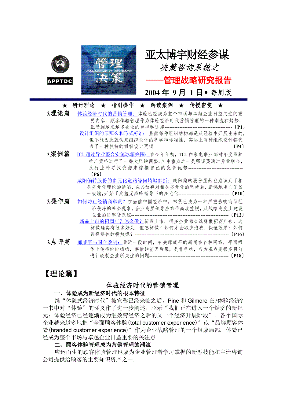 决策咨询系统之管理战略研究报告doc21页.docx_第1页