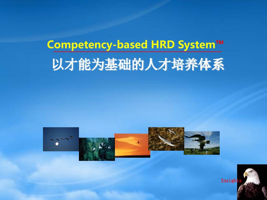 以才能为基础的人才培养体系PPT86页.pptx_第1页