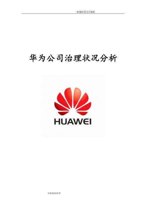 华为公司治理及内部控制.doc