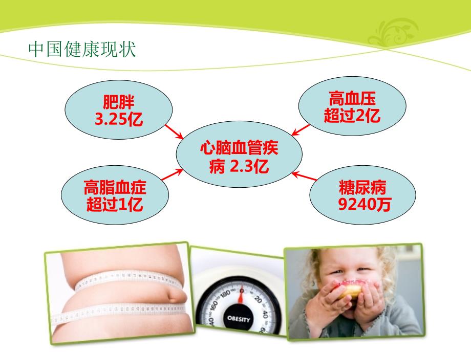 减肥方案演讲稿.ppt_第2页