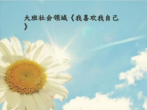 大班社会领域我喜欢我自己课件.pptx