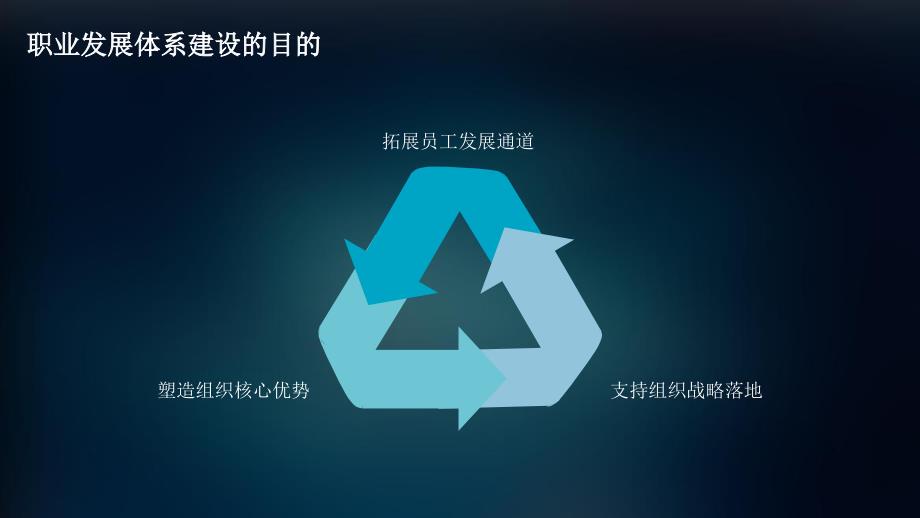 华为腾讯万科员工职业发展体系.ppt_第2页
