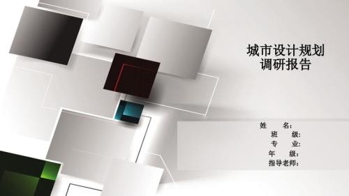 城市调研报告PPT课件.ppt