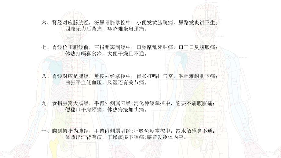 全身经络口诀十二经络图课件.pptx_第3页
