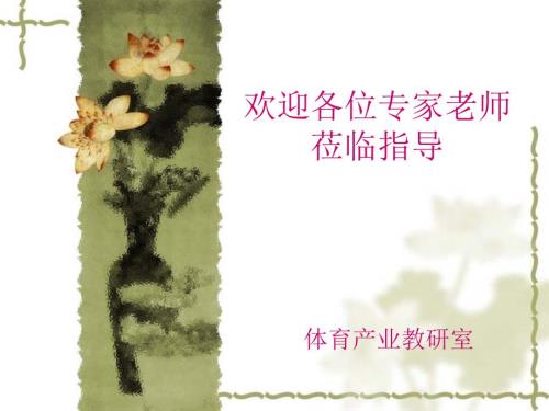 体育赛事策划方案.ppt