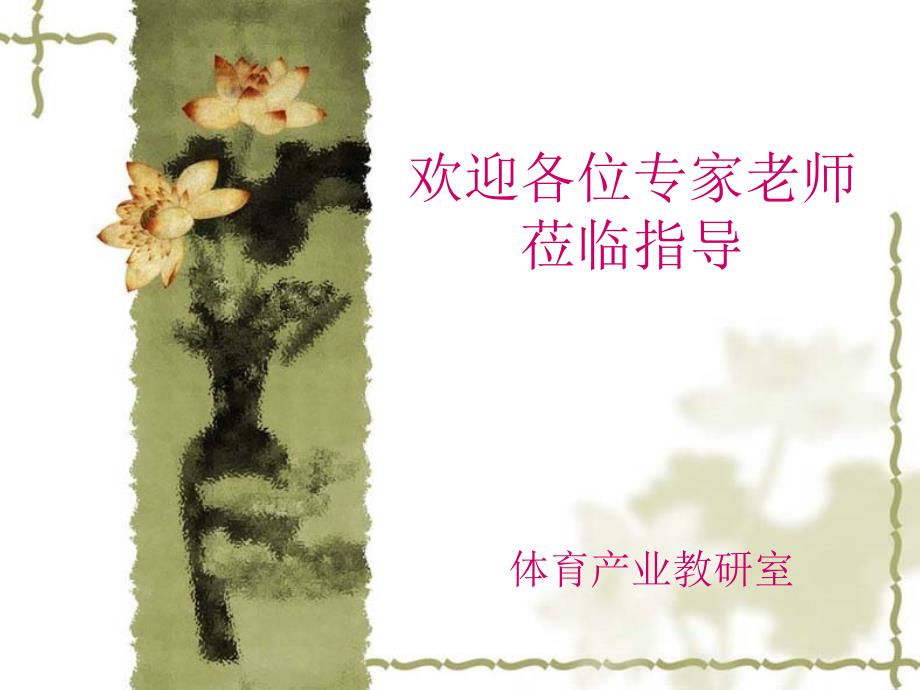 体育赛事策划方案.ppt_第1页