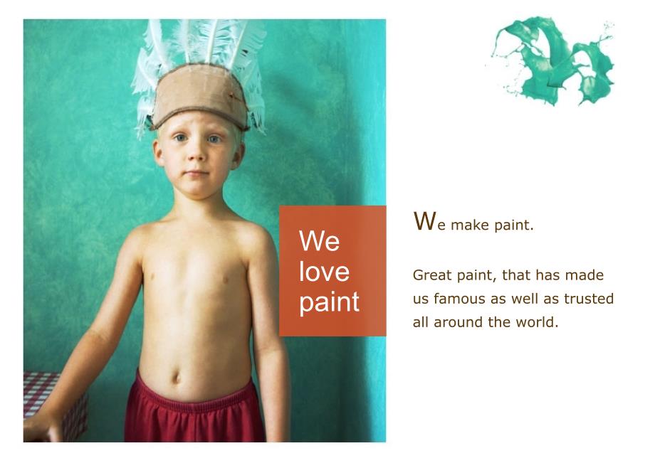 多乐士品牌定位方案Embracingworldbeyondpaint.ppt_第2页