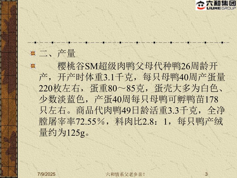 农训22樱桃谷肉鸭饲养管理.ppt_第3页