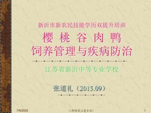 农训22樱桃谷肉鸭饲养管理.ppt