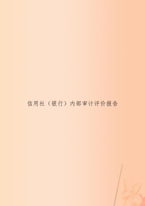 信用社银行内部审计评价报告.doc