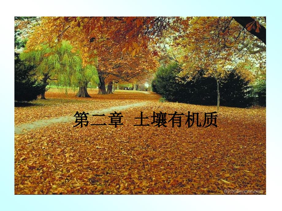 土壤有机质PPT课件.ppt_第1页