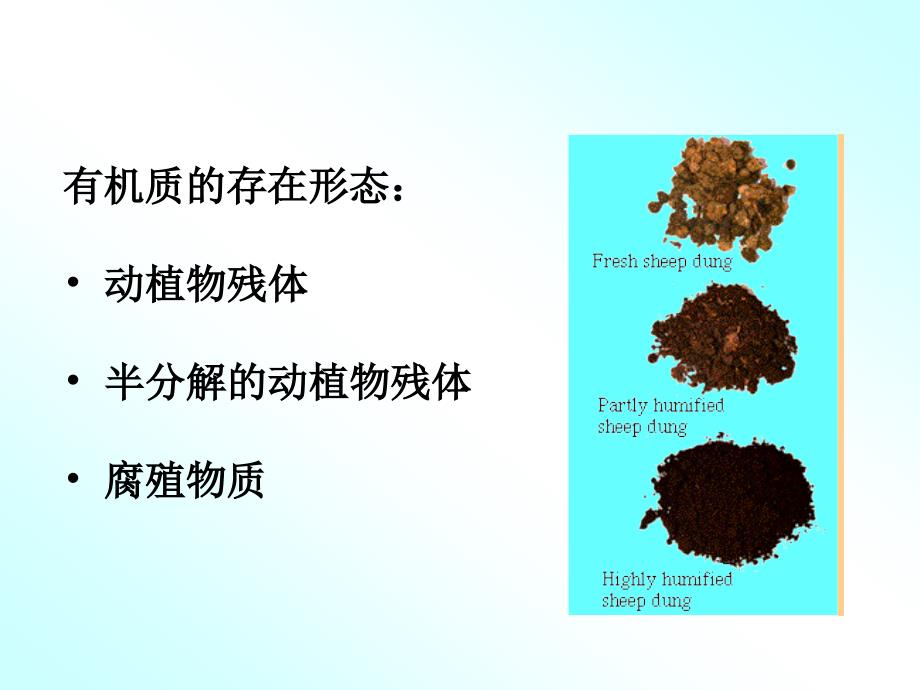 土壤有机质PPT课件.ppt_第3页
