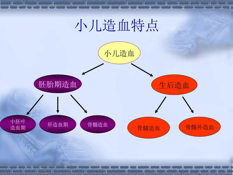 小儿贫血PPT课件.ppt_第2页