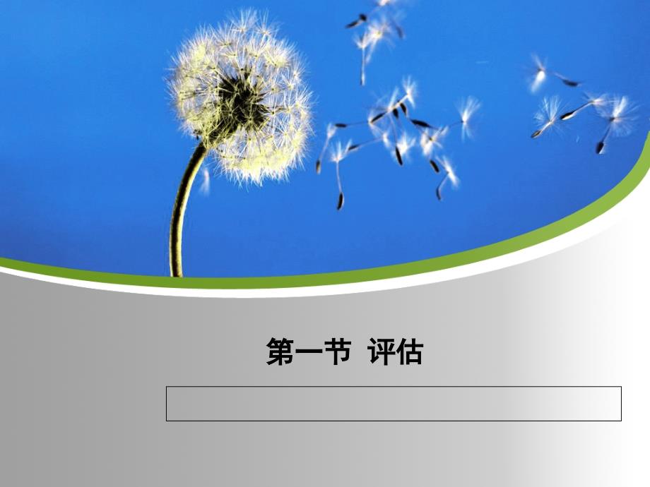 个案工作评估与结案.ppt_第2页