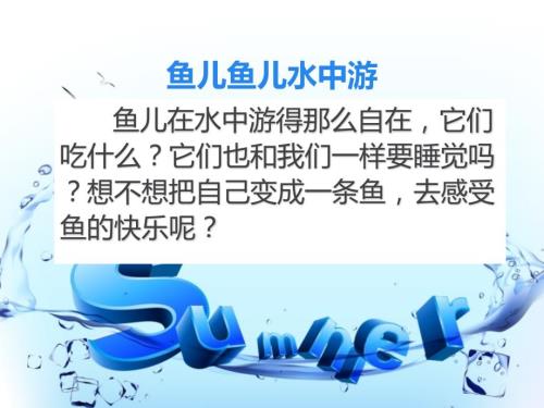 二年级探究上册第二单元第一课认识我喜欢的鱼课件.ppt