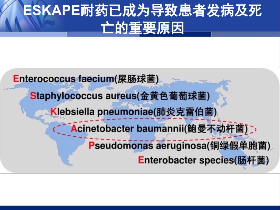 中国鲍曼不动杆菌感染诊治与防控讲稿ppt课件.ppt_第2页