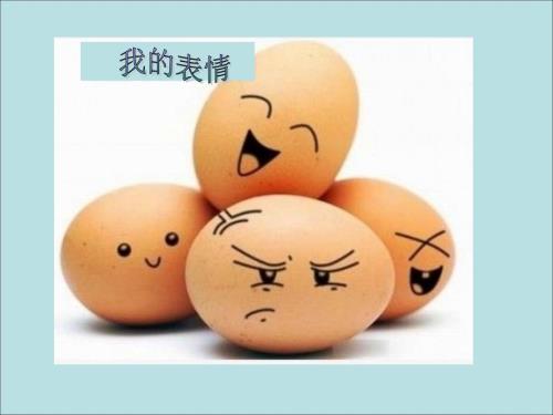 人教版小学劳技课煮鸡蛋课件.ppt