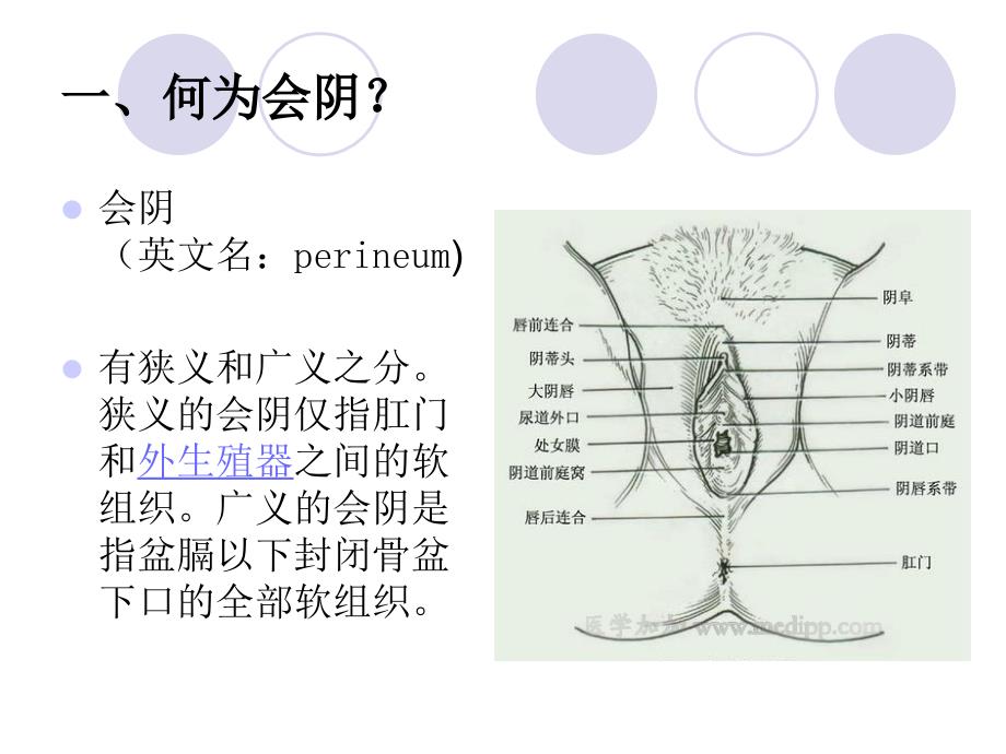 会阴部护理课件.ppt_第2页