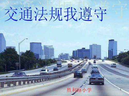 四年级安全交通法规我遵守PPT演示课件.ppt