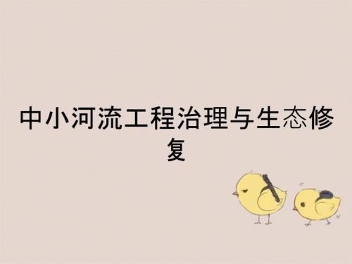中小河流工程治理与生态修复.ppt