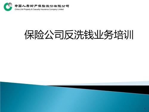 保险公司反洗钱业务培训.ppt