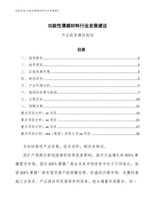 功能性薄膜材料行业发展建议.docx