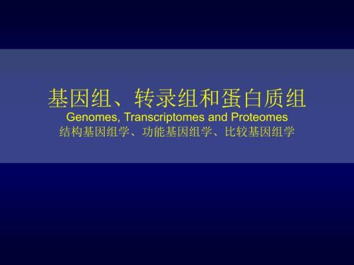 基因组转录组和蛋白组.ppt